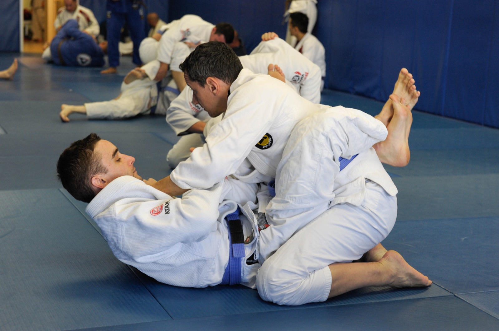 Adults drilling authentic Gracie Jiu-Jitsu techniques at Performance Jiu-Jitsu Academy in Fair Lawn, Bergen County NJ