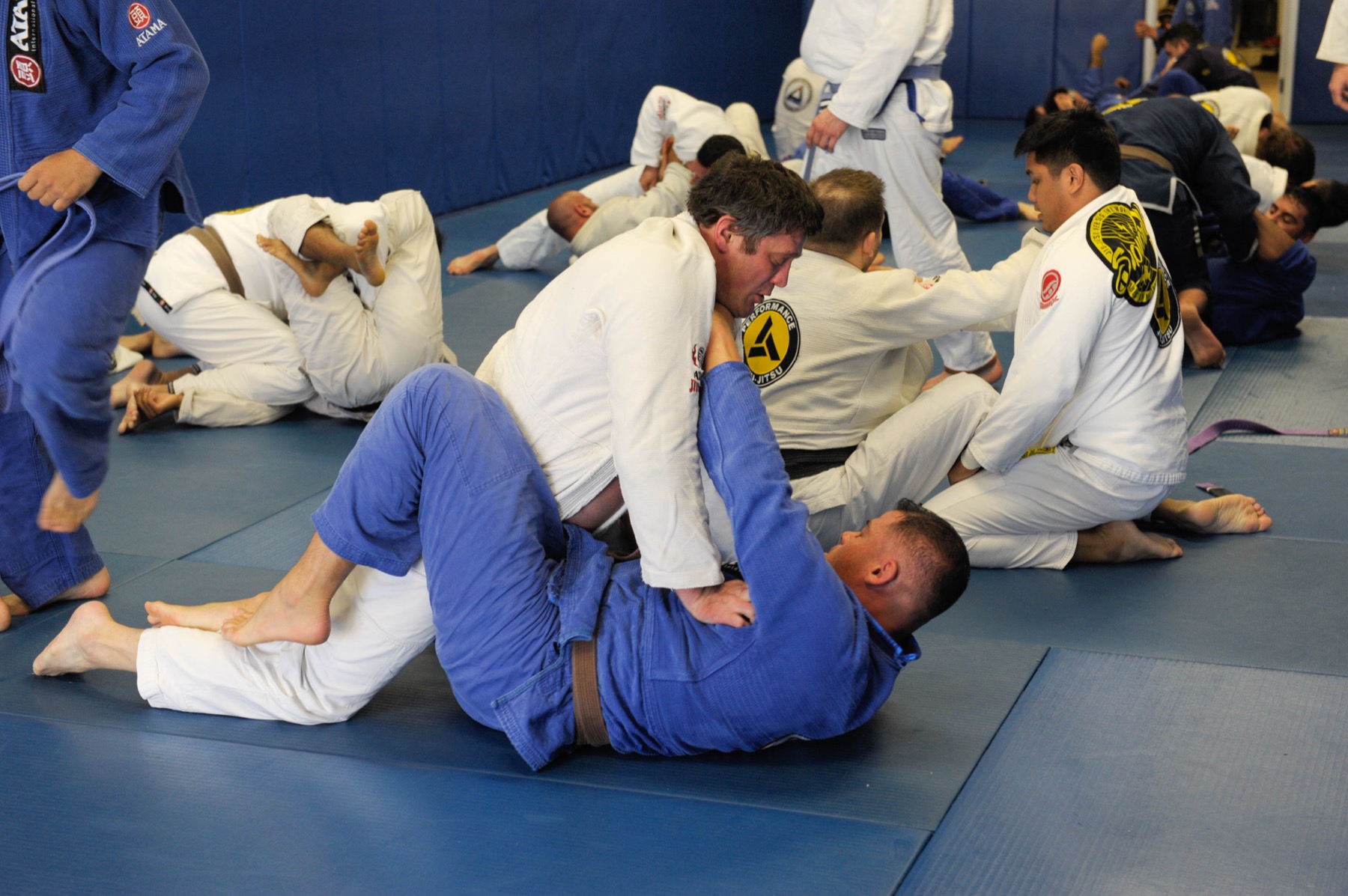 Adults sparring during a Gracie Jiu-Jitsu class at Performance Jiu-Jitsu in Fair Lawn, NJ